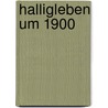 Halligleben um 1900 door Onbekend