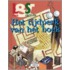 Tijdperk van het boek