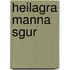 Heilagra Manna Sgur