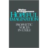 Hopeful Imagination door Walter Brueggemann