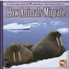 How Animals Migrate by Susan Labella