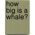 How Big Is A Whale?