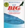 How Big Is A Whale? by Jinny Johnson