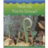 How Do Plants Grow?
