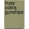 Huey Cobra Gunships by Chris Bishop