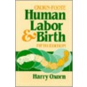 Human Labor & Birth door Harry Oxorn
