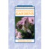 Hummingbird Gardens