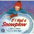 If I Had a Snowplow