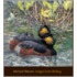 Images From Birding