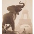 Impressionist Paris