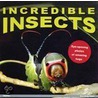 Incredible Insects! by playBac Edu-Team