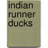 Indian Runner Ducks
