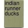 Indian Runner Ducks by Jan Barnes