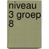 Niveau 3 groep 8