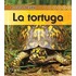 La tortuga / Turtle