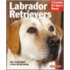 Labrador Retrievers