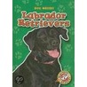 Labrador Retrievers door Mari C. Schuh