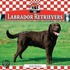 Labrador Retrievers