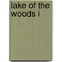 Lake of the Woods I