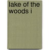 Lake of the Woods I door Duane R. Lund