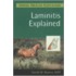 Laminitis Explained