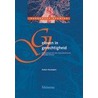 Geloven in gerechtigheid door A. Houtepen