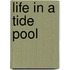 Life In A Tide Pool