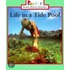 Life in a Tide Pool