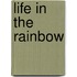 Life in the Rainbow