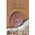 Life of a Jellyfish