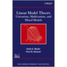 Linear Model Theory door Paul W. Stewart