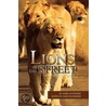Lions In The Street door James Schneider
