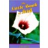 Little Book of Acid