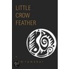 Little Crow Feather by Ramakar Ram