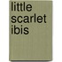 Little Scarlet Ibis