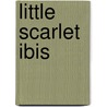 Little Scarlet Ibis door Dorothy Jolly