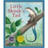 Little Skink's Tail