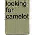 Looking for Camelot