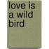 Love Is A Wild Bird