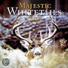 Majestic Whitetails door Patrick D. Wall