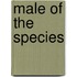 Male Of The Species