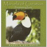 Marvels Of Creation by Kay Davis