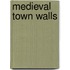 Medieval Town Walls