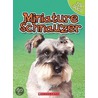 Miniature Schnauzer door Linda George