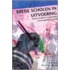Brede scholen in uitvoering