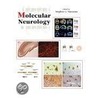 Molecular Neurology by Stephen Waxman