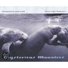 Mysterious Manatees door John Elliott Reynolds