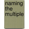 Naming The Multiple by Michael Peters