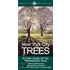 New York City Trees