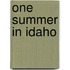 One Summer In Idaho